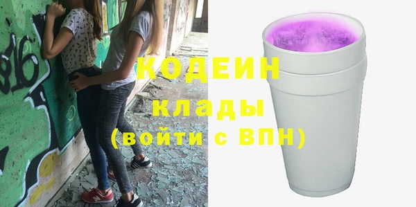 молекула духа Арсеньев