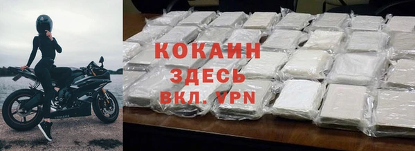 молекула духа Арсеньев