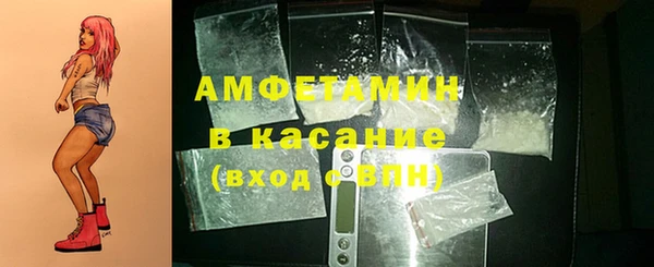 молекула духа Арсеньев
