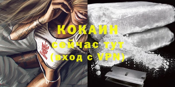 молекула духа Арсеньев