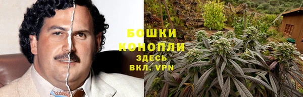 гидра Медногорск