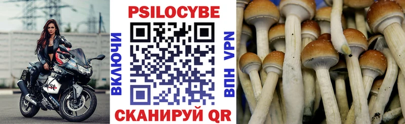 Псилоцибиновые грибы Psilocybine cubensis гидра зеркало Абаза закладки